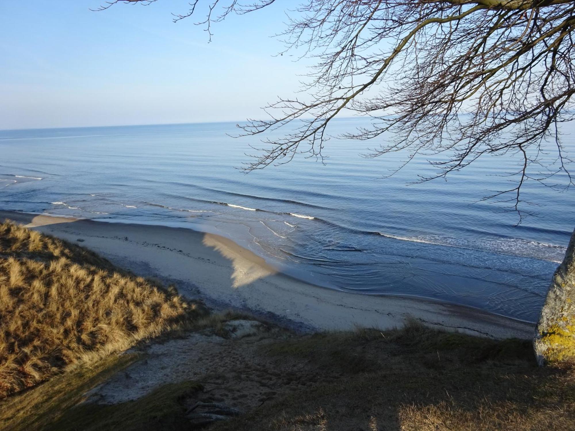 Solrosen I Simrishamn - Oesterlen Экстерьер фото