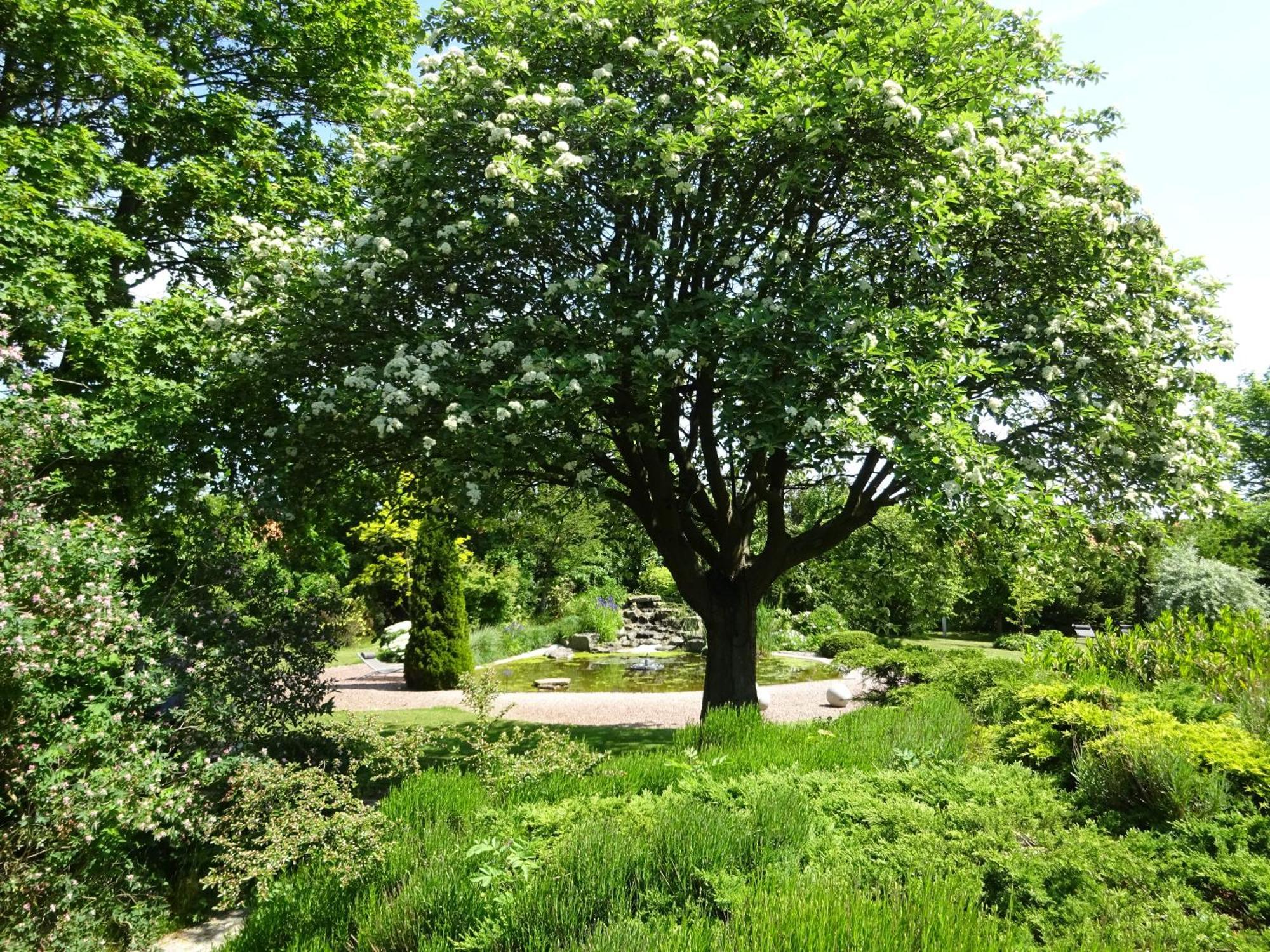 Solrosen I Simrishamn - Oesterlen Экстерьер фото