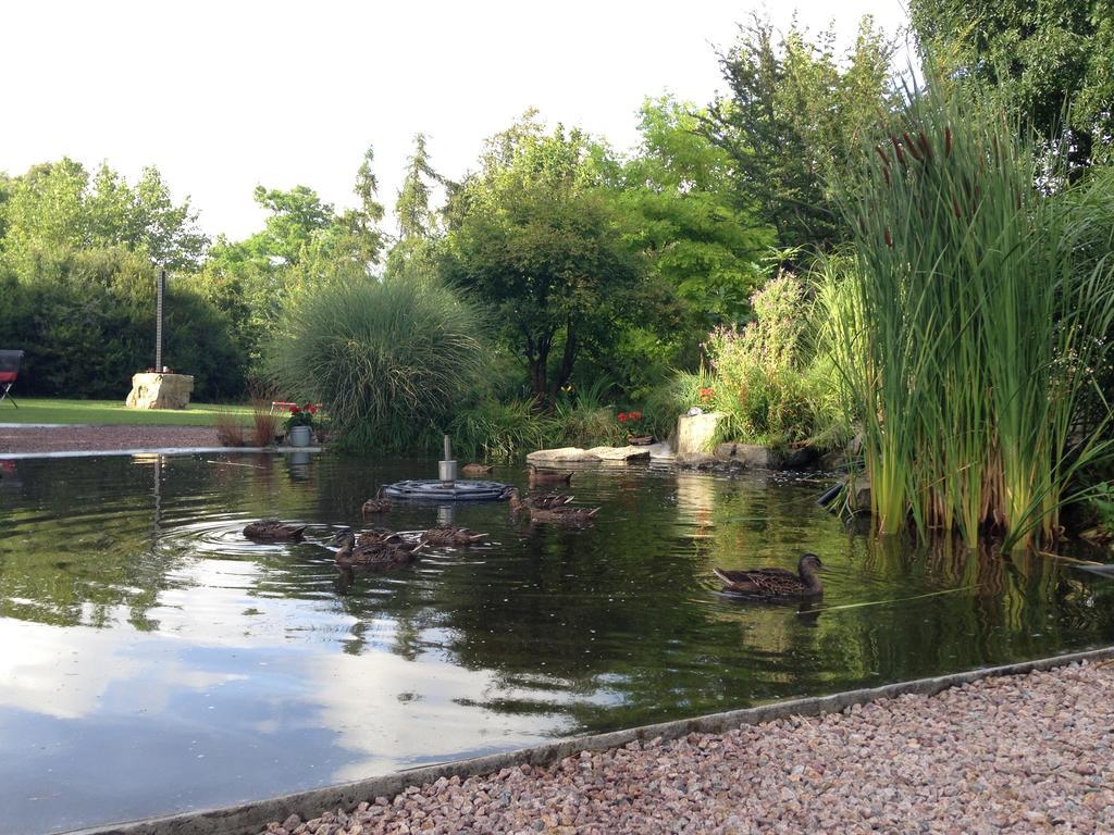 Solrosen I Simrishamn - Oesterlen Экстерьер фото