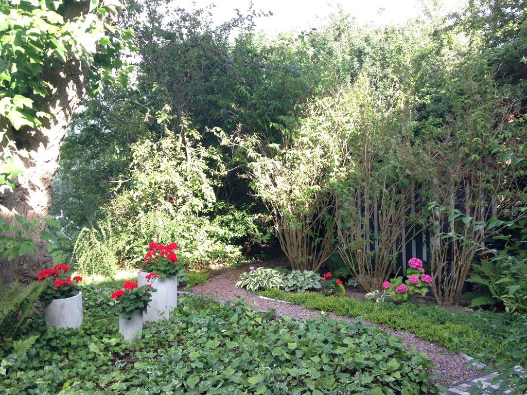 Solrosen I Simrishamn - Oesterlen Экстерьер фото